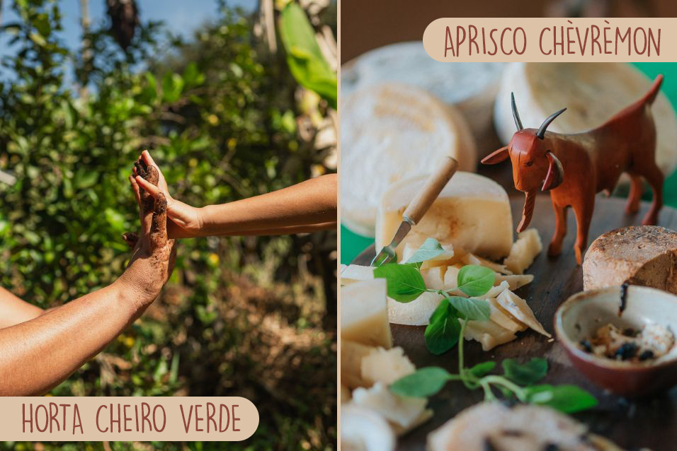 Horta Cheiro Verde / Aprisco Chèvrèmon - Brumadinho