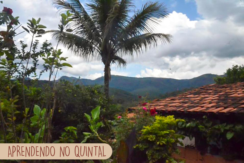 Aprendendo no Quintal - Almoço Debaixo do Pé de Manga