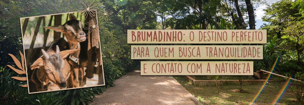 Brumadinho: o destino perfeito para quem busca tranquilidade e contato com a natureza
