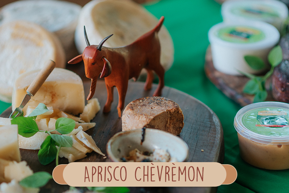 Queijo de cabra - aprisco chevremon