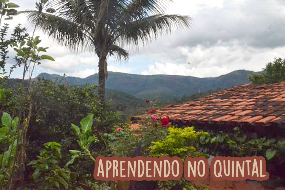 Blog_Aprendendo No Quintal