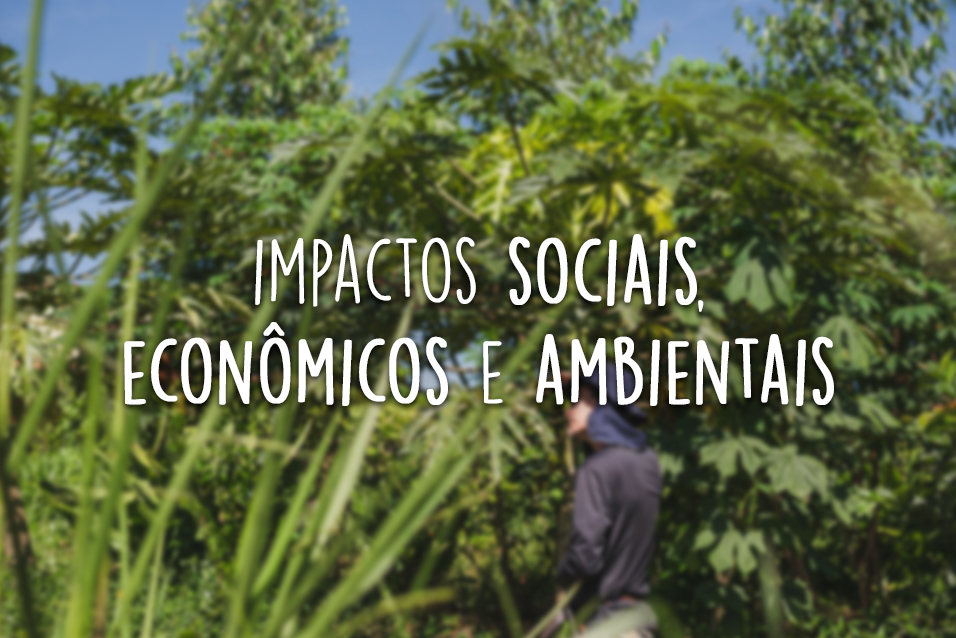 Turismo de base comunitária - Impactos sociais, econômicos e ambientais