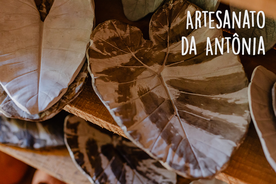 blog: quando a natureza vira arte - artesanato da antonia