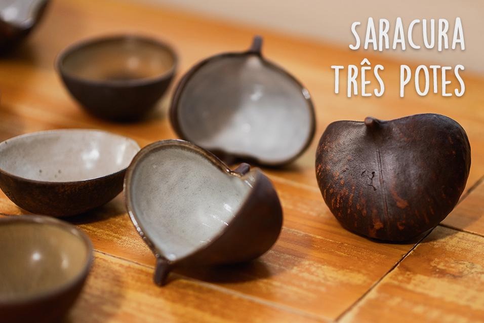 blog: quando a natureza vira arte - saracura tres potes