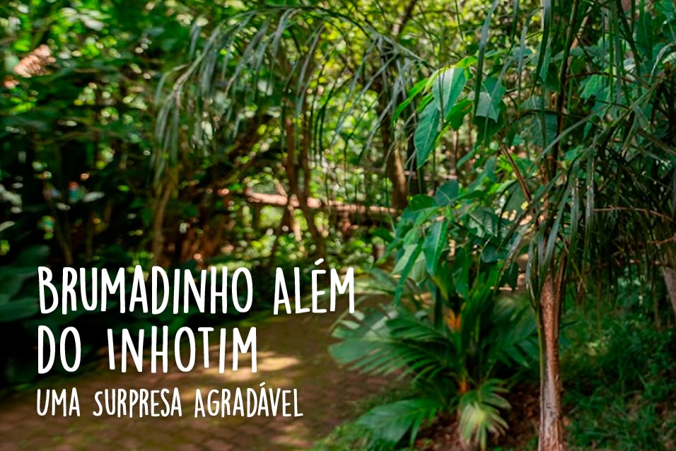 Brumadinho Além do Inhotim: Uma Surpresa Agradável