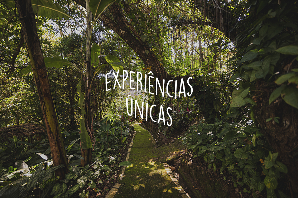 Blog - experiências únicas em brumadinho