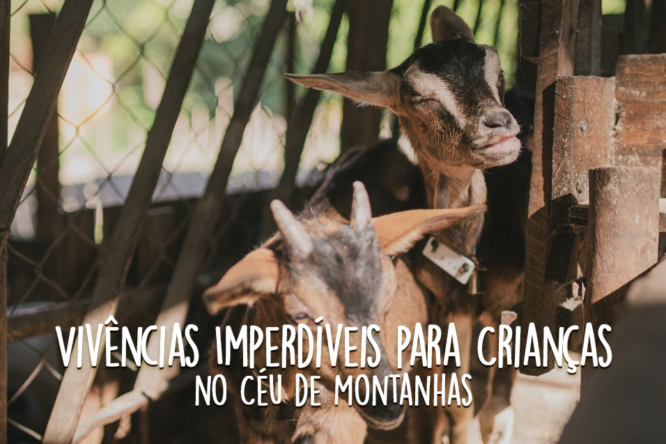 Vivências imperdíveis para crianças em Brumadinho