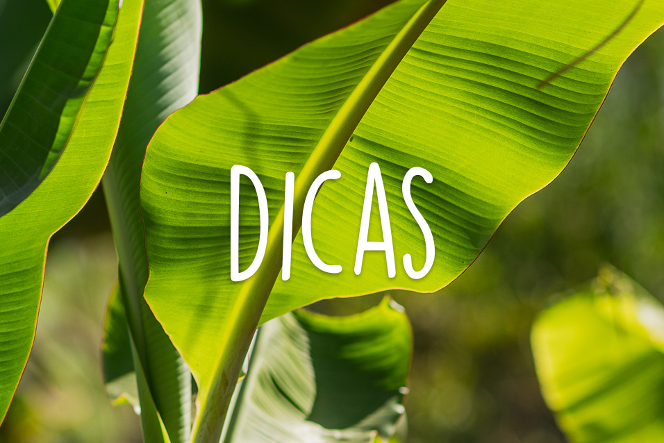Blog Turismo de baixo impacto - dicas