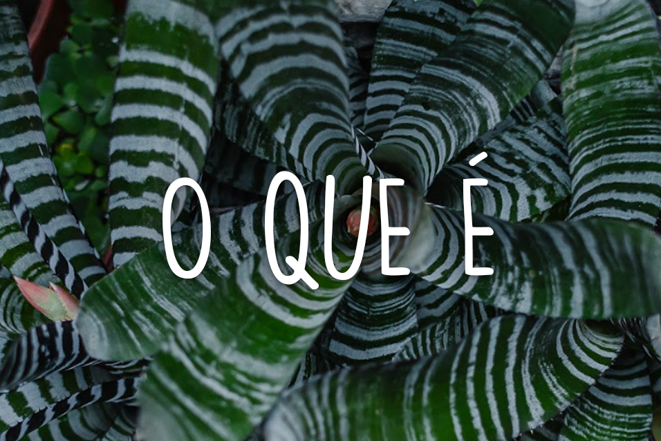 Blog Turismo de baixo impacto - O que é?