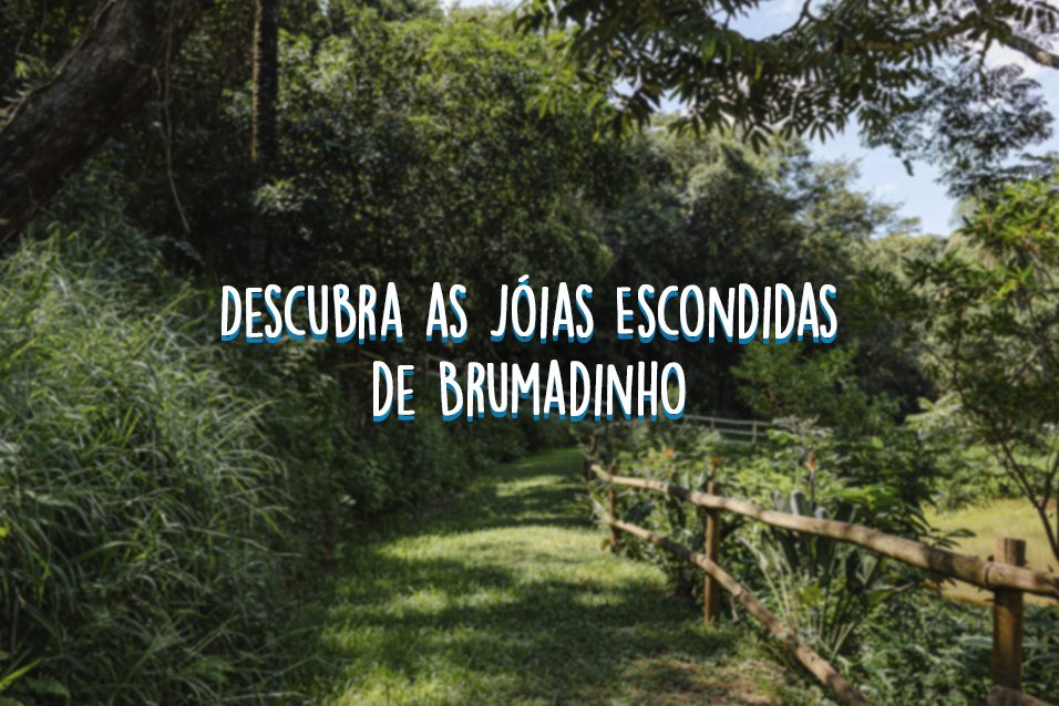 Blog - Brumadinho para além de Casa Branca - joias escondidas
