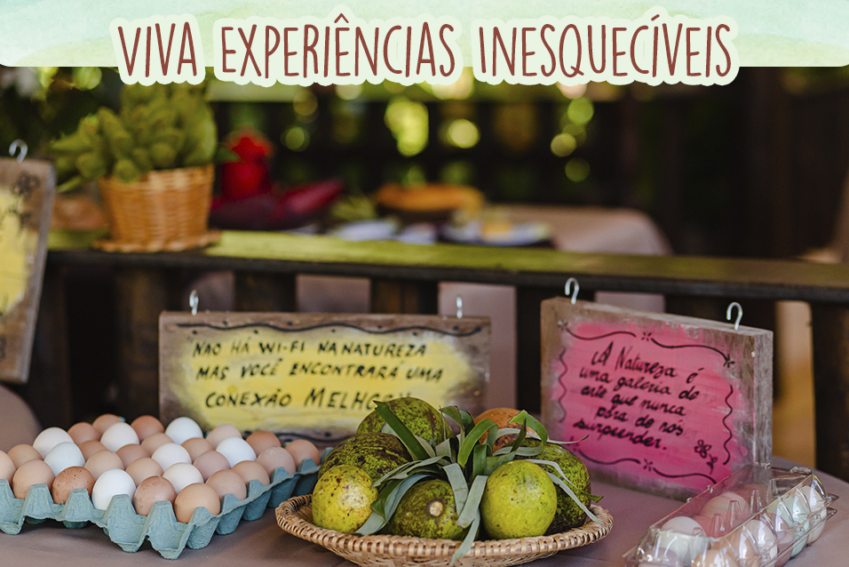 Blog centro de Brumadinho - experiências inesquecíveis