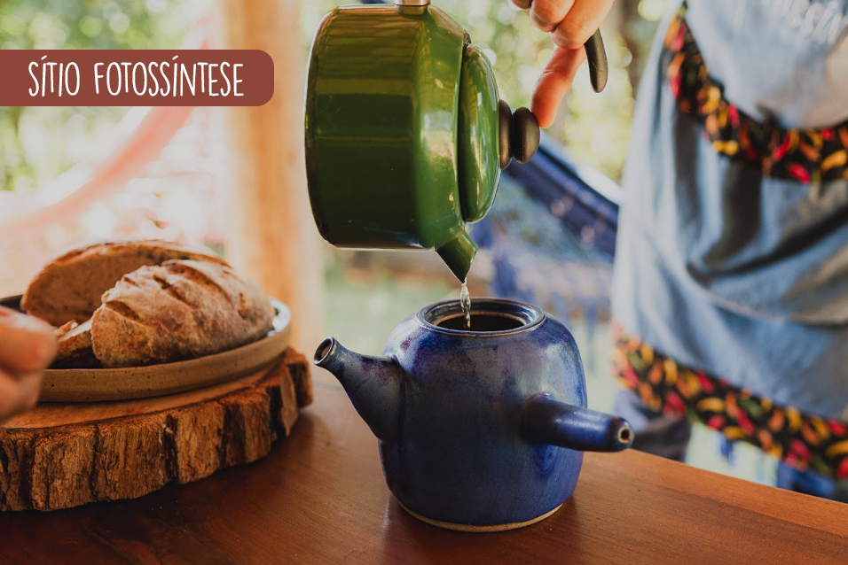 Blog inverno em brumadinho: sitio fotossintese