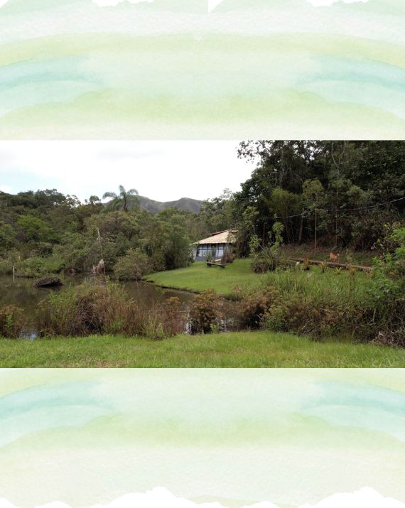 horta-cheiro-verde-1