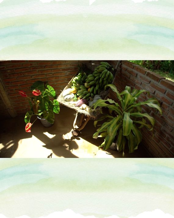 horta-cheiro-verde-4