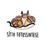 logo sítio fotossíntese