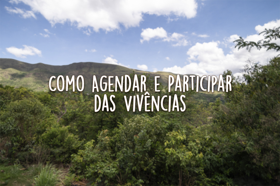 Roteiro para Feriado em Brumadinho:  como agendar as vivências