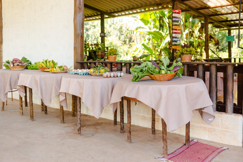 Mesas de frutas do café de hoje no Assentamento das Pastorinhas em Brumadinho