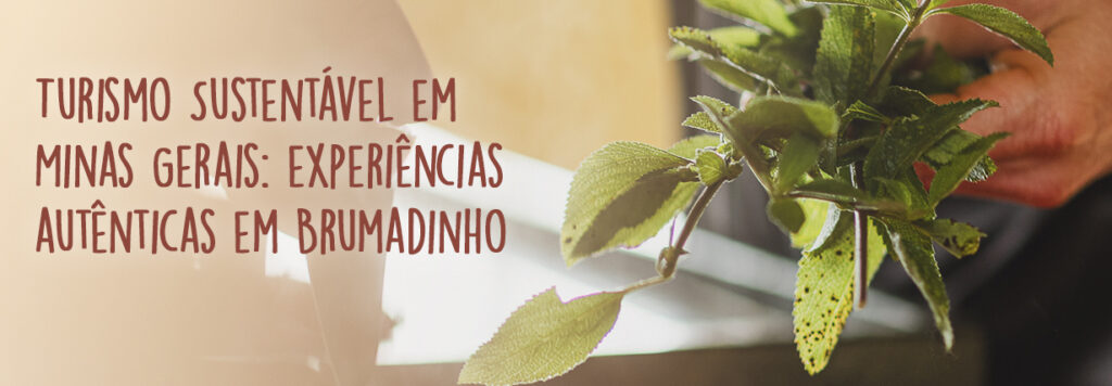 Mão segurando ervas frescas durante preparo artesanal em experiência de turismo sustentável em Brumadinho