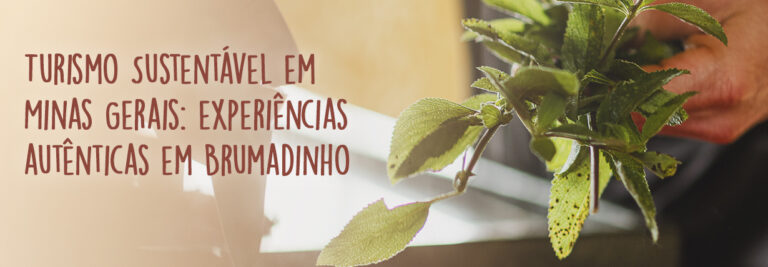 Mão segurando ervas frescas durante preparo artesanal em experiência de turismo sustentável em Brumadinho