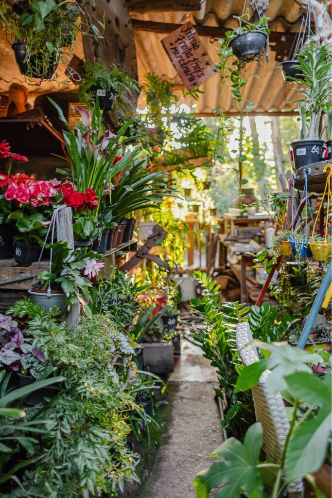 Floricultura da Casa Rústica