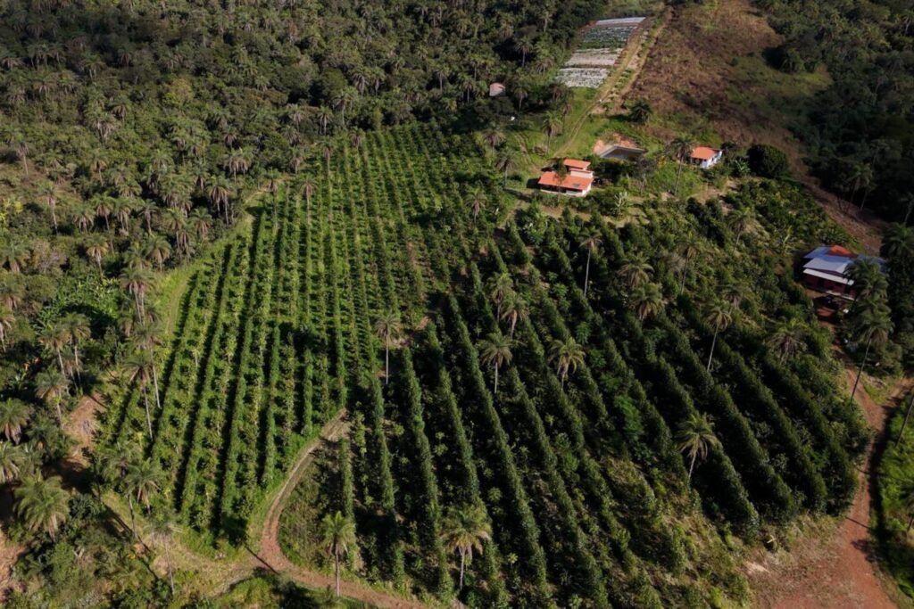 Fazenda Sertão vista panorâmica