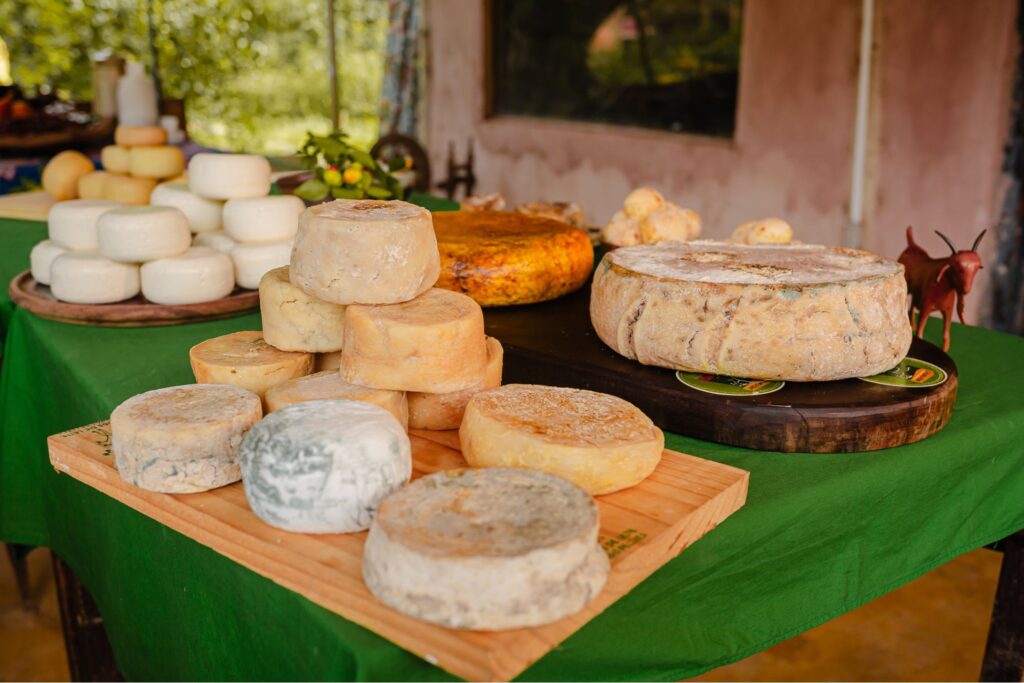 Tábua de degustação com diversos queijos de cabra artesanais, geleias, pães e frutas frescas, oferecida na vivência do Aprisco Chèvrèmon em Brumadinho.