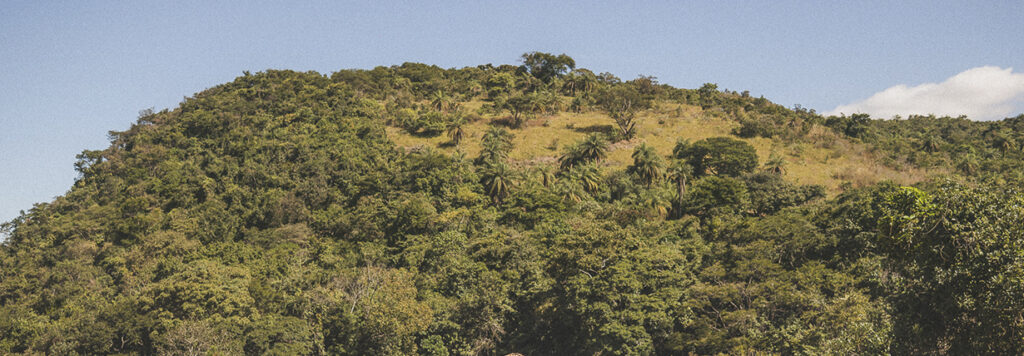 Vista de vivência rural em Brumadinho com turistas e moradores locais conectados à natureza