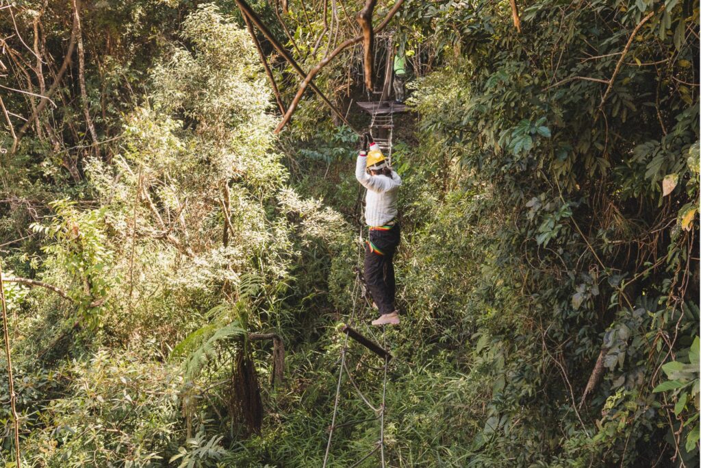 Verde Folhas trilha suspensa em brumadinho mg