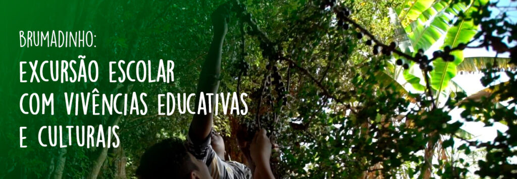 Excursão escolar com vivências educativas e culturais em Brumadinho