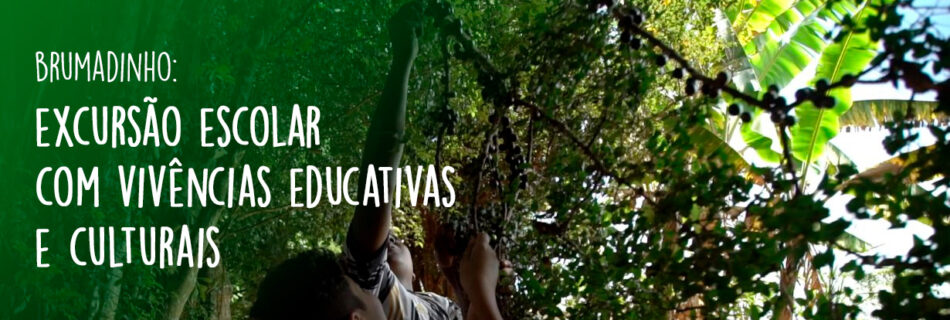 Excursão escolar com vivências educativas e culturais em Brumadinho