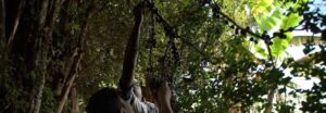 Excursão escolar com vivências educativas e culturais em Brumadinho