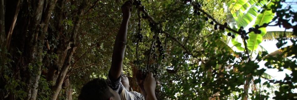 Excursão escolar com vivências educativas e culturais em Brumadinho