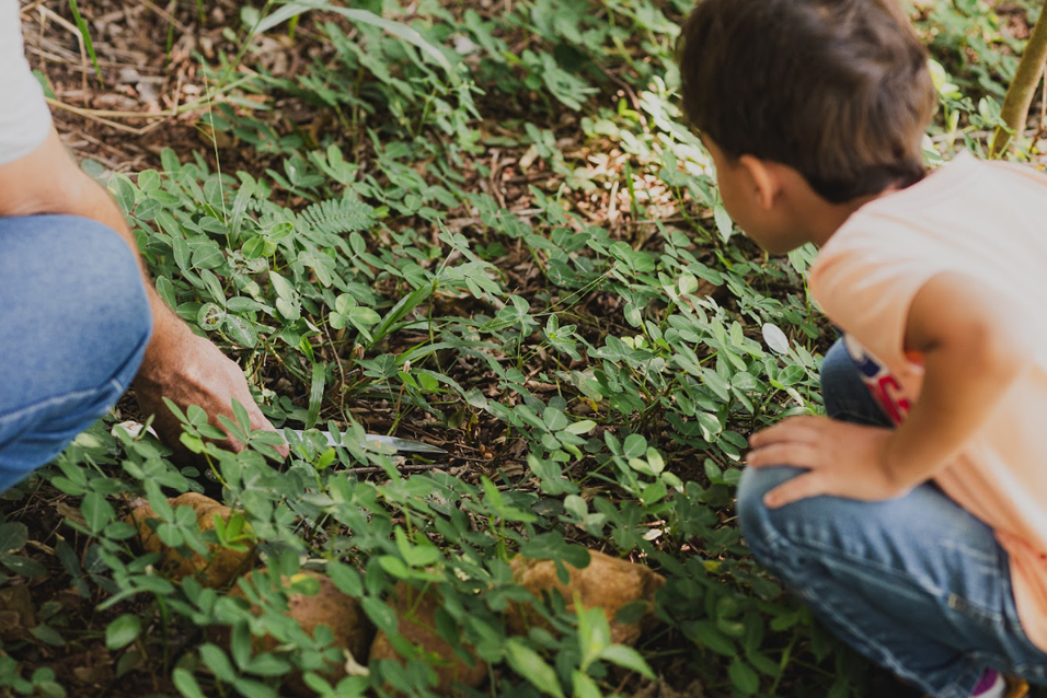 Por que escolher Brumadinho para sua excursão escolar?
