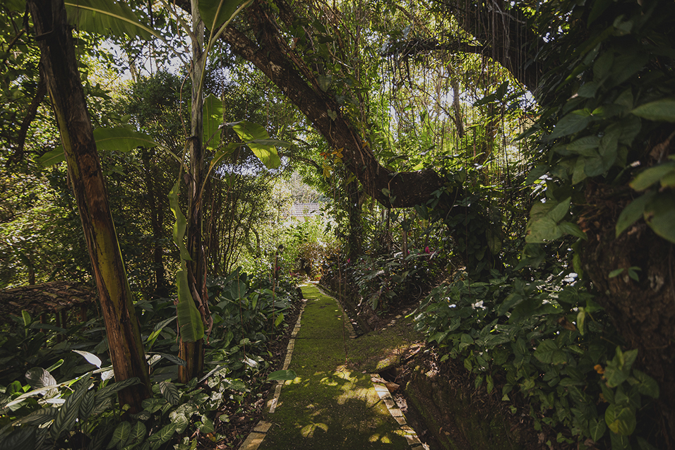Trilha na mata em Brumadinho - Turismo Sustentável - Viaje com propósito