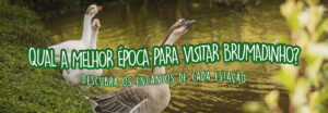 Qual a melhor época para visitar Brumadinho em Minas Gerais?