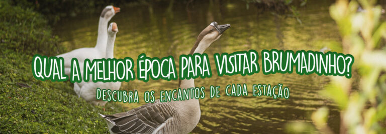 Qual a melhor época para visitar Brumadinho em Minas Gerais?