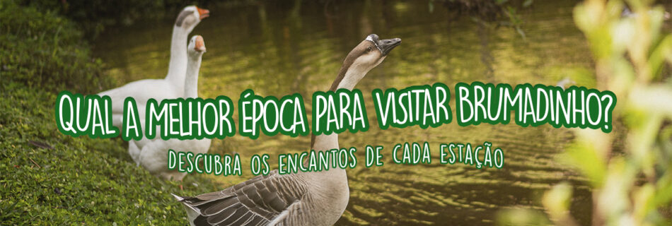 Qual a melhor época para visitar Brumadinho em Minas Gerais?