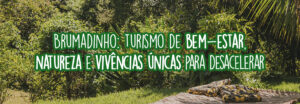 Esteira de madeira, com almofadas, forrada na grama, em uma paisagem com muitas plantas, simbolizando o turismo de bem-estar em Brumadinho, MG