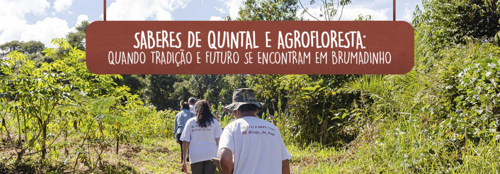 Assentamento das Pastorinhas: Saberes de quintal e agrofloresta em Brumadinho