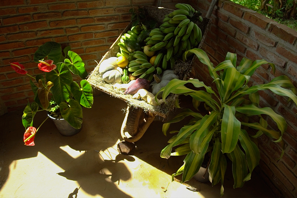 Colheita da Horta Cheiro Verde em Brumadinho, Minas Gerais
