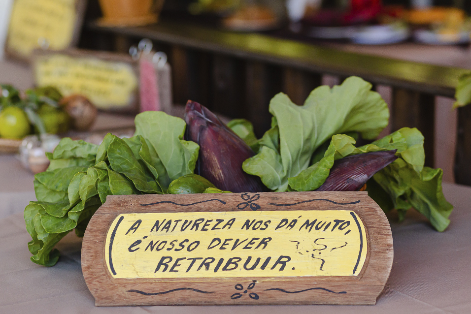 A natureza nos dá muito, é nosso dever retribuir. Hortaliças sobre a mesa do Café de Hoje em Brumadinho, MG