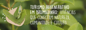 Turismo Regenerativo em Brumadinho: Vivências que Conectam Natureza, Comunidade e Cultura