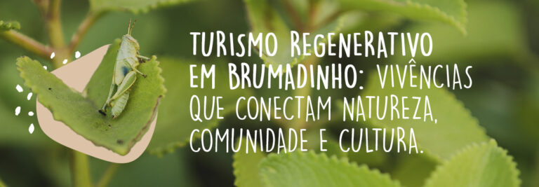 Turismo Regenerativo em Brumadinho: Vivências que Conectam Natureza, Comunidade e Cultura