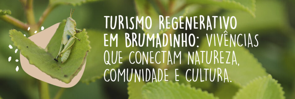 Turismo Regenerativo em Brumadinho: Vivências que Conectam Natureza, Comunidade e Cultura