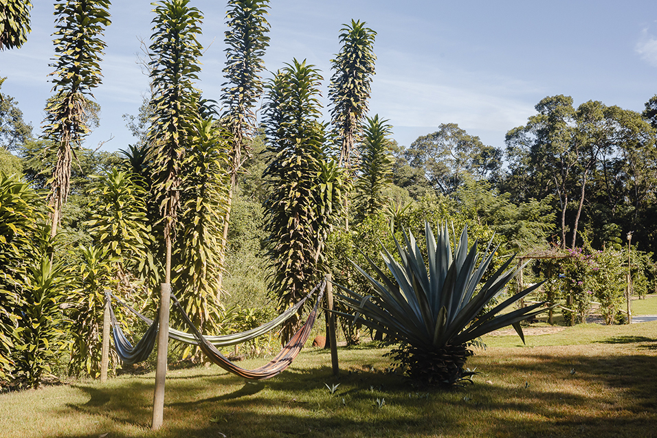 Redes no quintal do Sítio Fotossíntese em Brumadinho