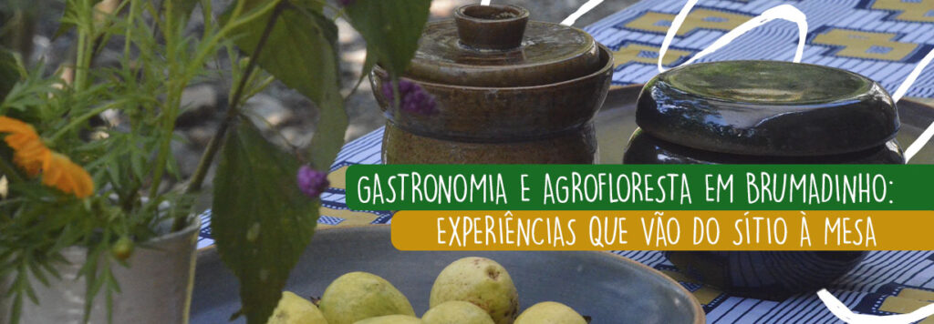 Gastronomia e agrofloresta em Brumadinho: experiências que vão do sítio à mesa. Imagem de mesa posta com cumbucas, goiaba e vaso de plantas. 
