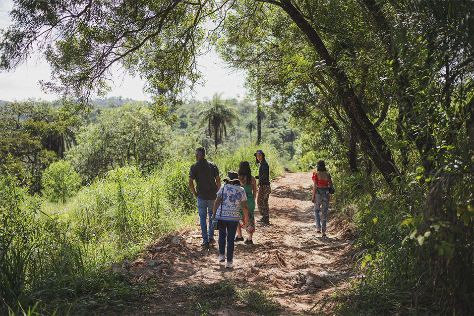 Pessoas caminham em meio à trilha na mata.
