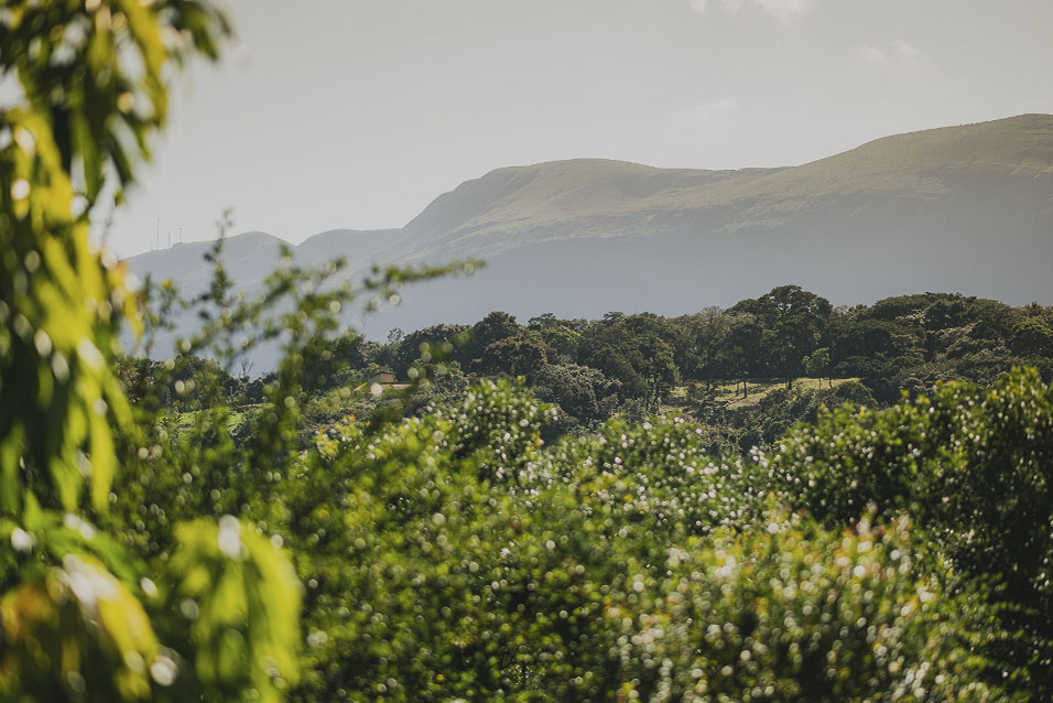 Viajar para relaxar em Brumadinho: a paisagem estonteante da mata e montanhas em Brumadinho